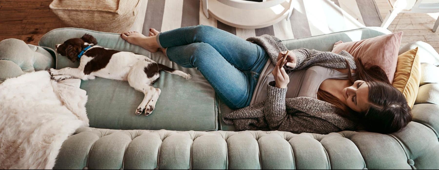 overhead view of  a woman texting as she lies on a couch with a dog at her feet
